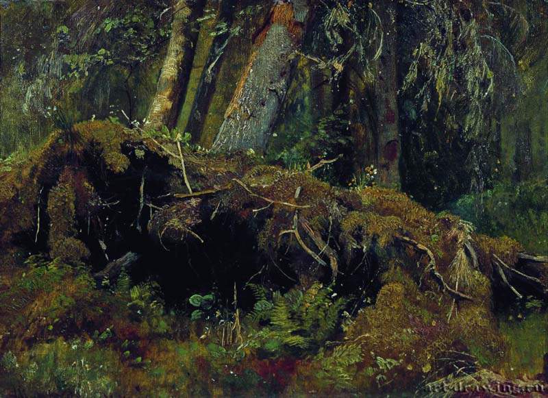 Бурелом. 1880 - 26.3 х 36.1 Картон, масло