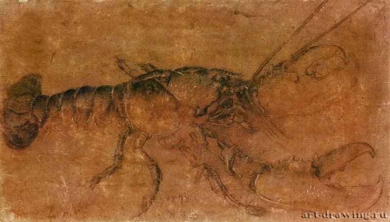 Омар. 1495 - 24,7 х 42,9 Перо черным и коричневым тоном, отмывка, подсветка белым, на бумаге Гравюрный кабинет Берлин