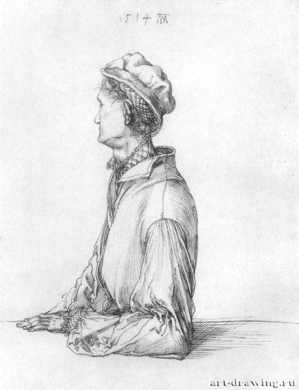 Эндрес Дюрер, брат художника, в профиль. 1514 - 28 x 21,8 Перо на бумаге Собрание графики Альбертина Вена