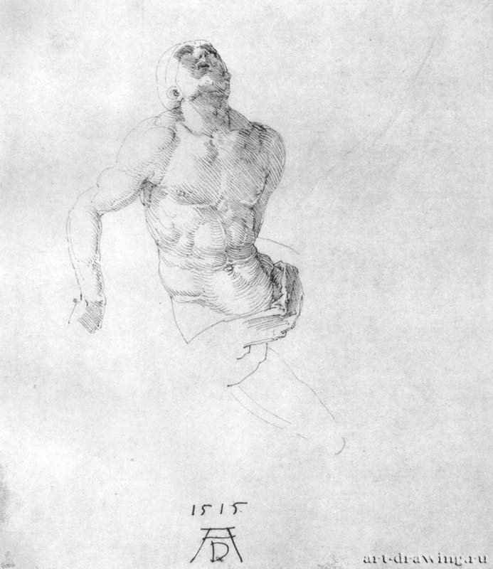  Этюд тела мертвого Христа. 1515 - 21,7 x 18,7 Перо на бумаге Собрание графики Альбертина Вена