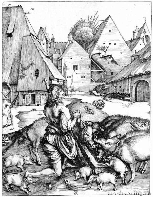 Блудный сын, кормящийся со свиньями. 1496 - 24,8 х 19 Резцовая гравюра на меди Частное собрание
