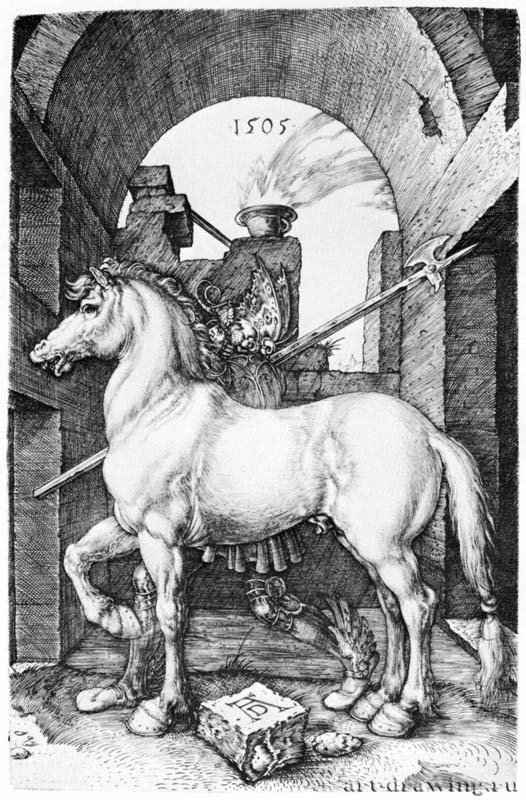 Малый конь. 1505 - 16,5 х 10,8 Резцовая гравюра на меди Гравюрный кабинет Берлин