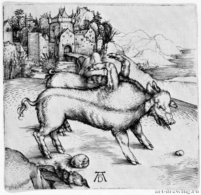 Поросёнок-уродец из Ландсера. 1496 - 12,1 х 12,7 Резцовая гравюра на меди Музей Метрополитен, Отделение рисунка Нью-Йорк