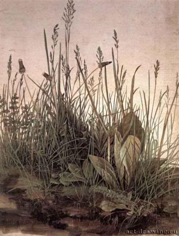 Большое болото, 1503 г. - Акварель; 41 x 32 см. Вена. Альбертина. Германия.