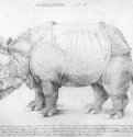 Носорог (Rhinozeros). 1515 - 27,4 x 42 Перо на бумаге Британский музей, Отдел гравюры и рисунка Лондон