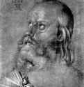 Этюд для Алтаря Геллера. Голова апостола 1508 - 29 x 23,6 Рисунок кистью, подсветка белым, на грунтованной зеленым тоном бумаге Собрание графики Альбертина Вена